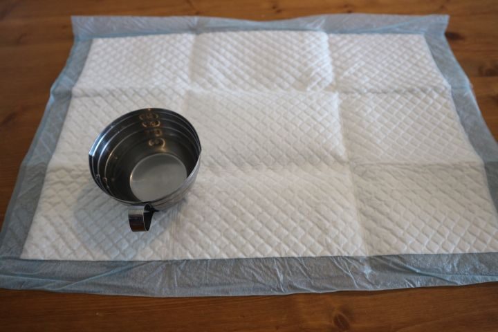 NICOPET SELECT ペットシーツ 中厚 レギュラー 約45×35cm 吸収シートのサイズ　吸収力の検証