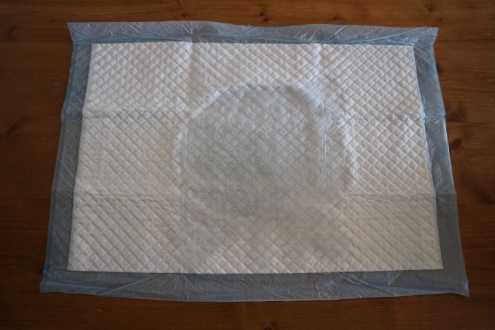 NICOPET SELECT ペットシーツ 中厚 レギュラー 約45×35cm 吸収シートのサイズ　吸収力の検証